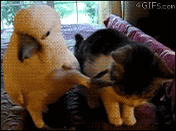 8292012020027therethere.gif