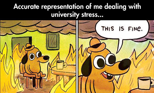 Dealing with college stress.