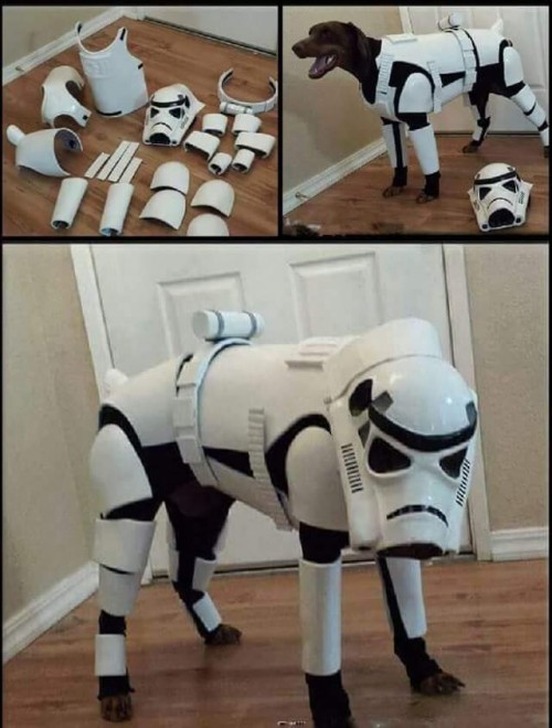 k9 clone trooper