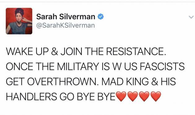 Sarah Silverman publicly calling for military coup. Violation of U.S. Code 2385.