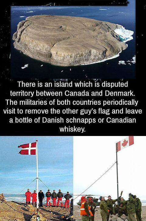 Danish vs Canadian