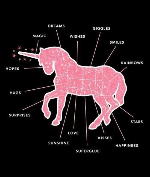 Anatomy of a Unicorn.