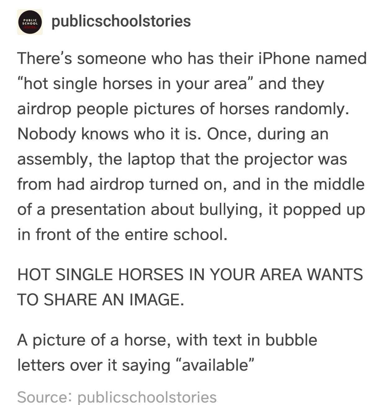 hot single horses