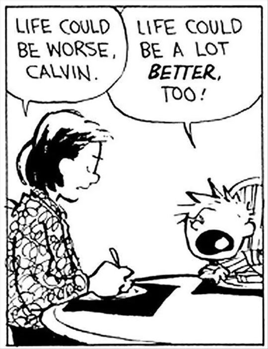 Image result for life could be a lot better too calvin
