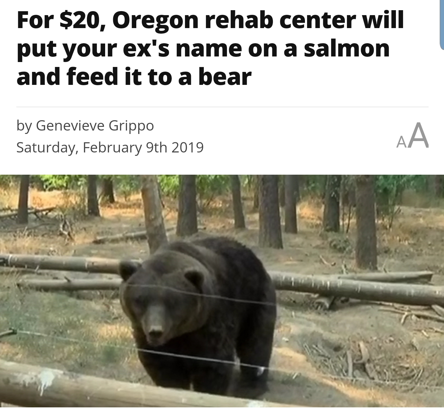 Feed the bears...