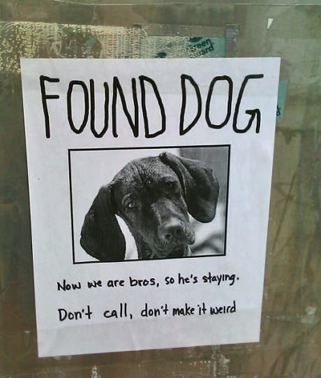 Found dog.