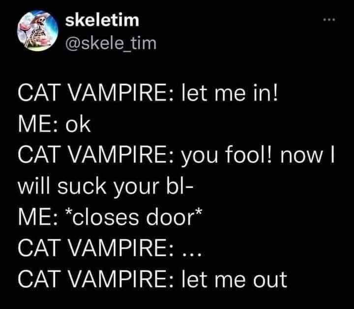 cats make terrible vampires