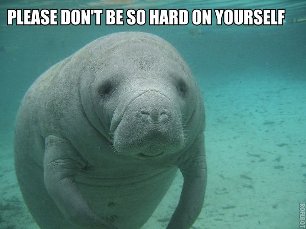 Manatee cares about you.