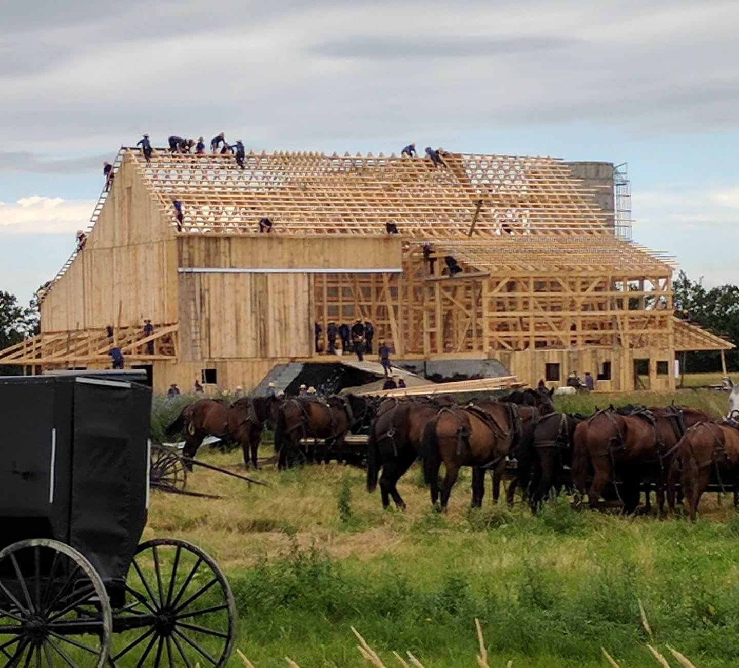 The Amish raising a barn; circa 2017